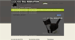 Desktop Screenshot of nom-de-chat.com