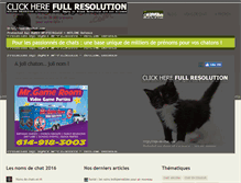 Tablet Screenshot of nom-de-chat.com